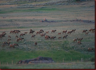 IMG_1981