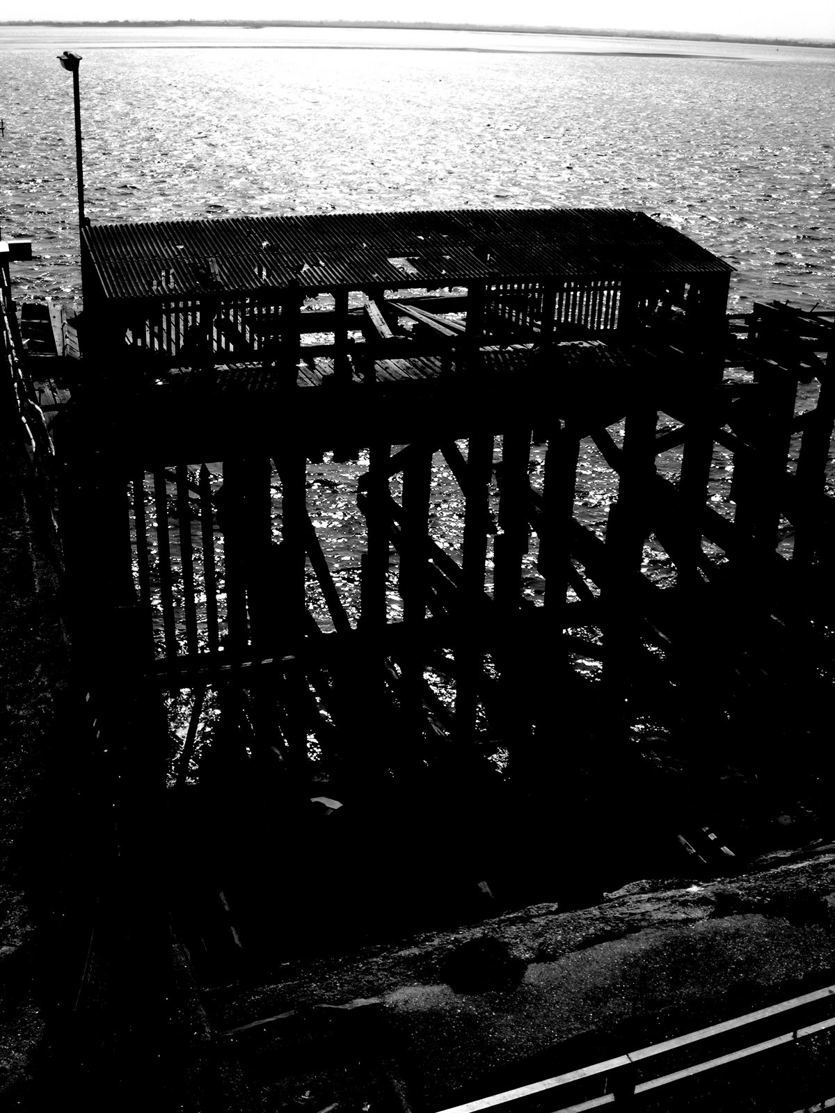 [2009_0424fishdock0159.JPG]