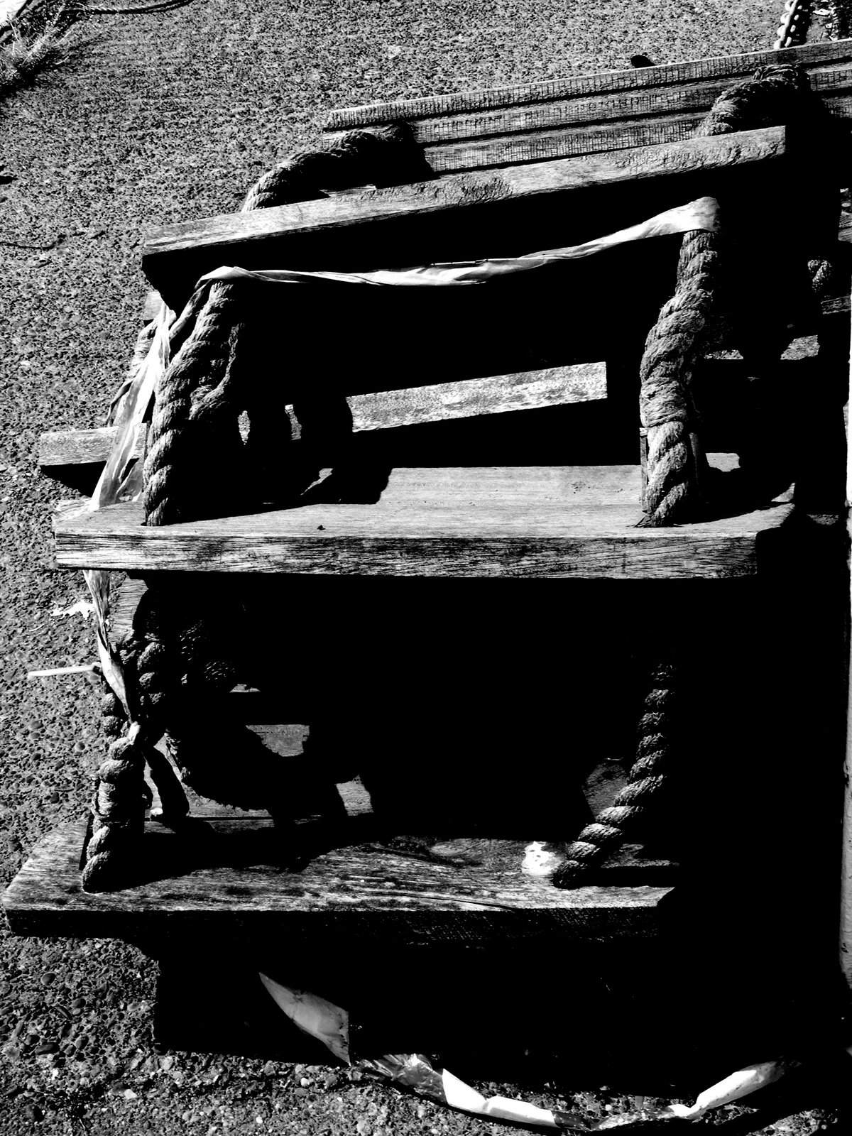 [2009_0424fishdock0117.JPG]