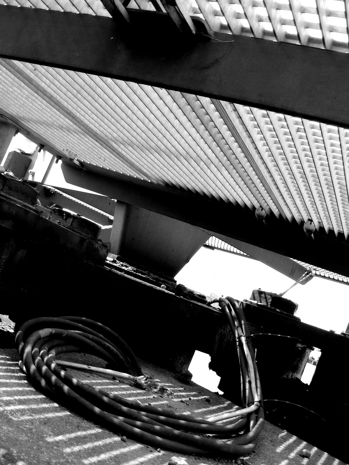 [2009_0424fishdock0113.JPG]