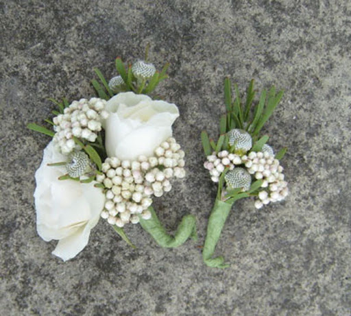 Botanical Accents