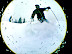 Dad Shreddin' Pow.
