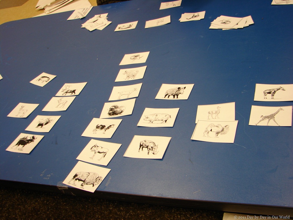 [DSC04100[8].jpg]