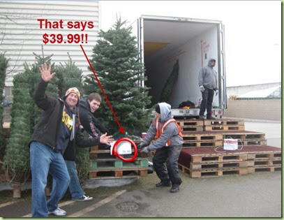 Northwest Ladybug Newsflash 7 8 Foot Christmas Trees Are 39 99 At Costco