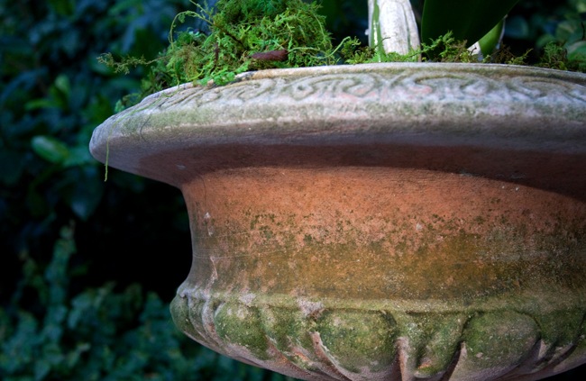 [Campo-Urn-at-Sunset[6].jpg]
