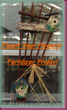 FERTILIZER FRIDAY 2