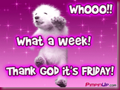 tgif_pimpin