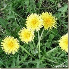 images (28) images (28)