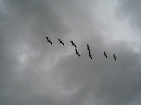 IMG_6706.JPG