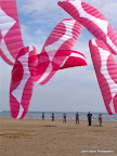 Kites on Swansea Bay (multikite copy)