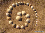 Shell Spiral in The Sand (shell spiral)