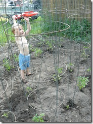 planting the garden- legos 067