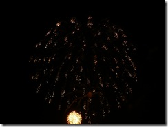 fireworks 063