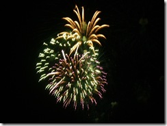 fireworks 034