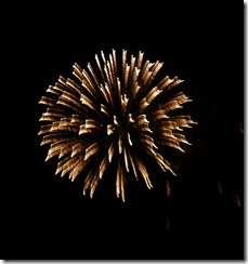 fireworks 054