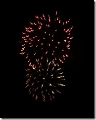 fireworks 057