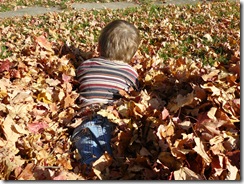 caelun in the leaves 134