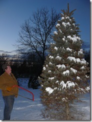 cutting the tree, Webster christmas washer 014