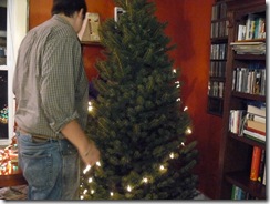 putting up the tree 001