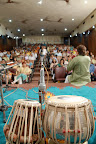 PVJ_3342.JPG
