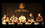 DSC00486 copy.jpg