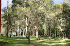 Simpson Falls picnic area, Mt Coot-tha