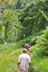 Hiking trail from Mt. Carmel Falls, Grenada