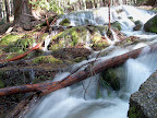A small creek on the John Muir Trail
