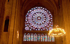 South Rose Window