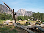 Half Dome from Sentinel Meadow