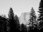 Black and white Half Dome