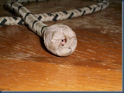 SnakeWhip 04
