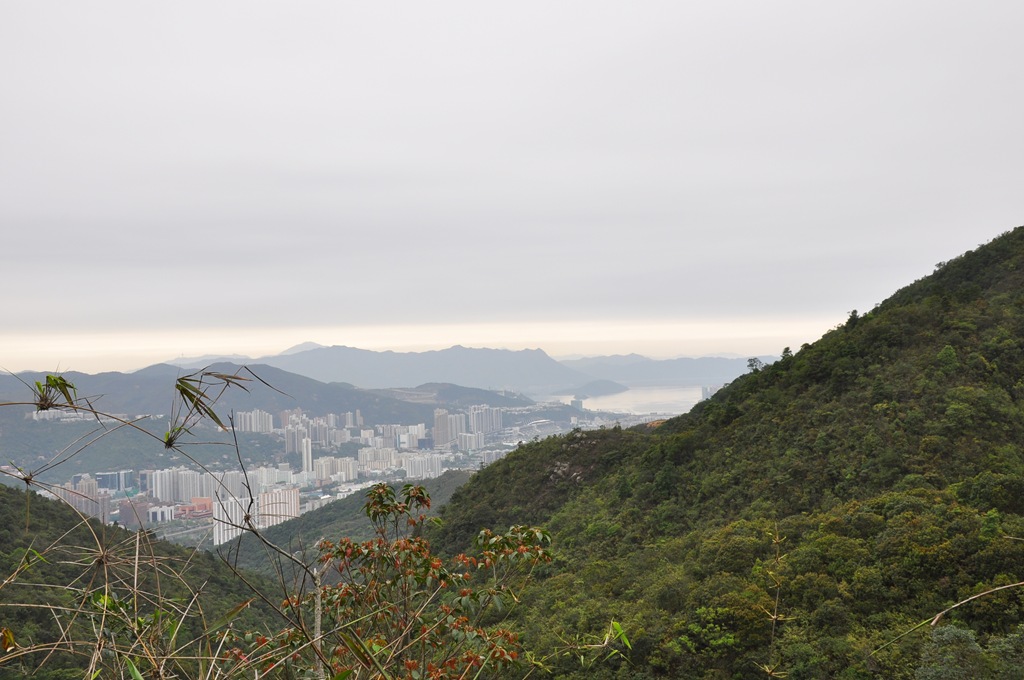 [DSC_0092[3].jpg]