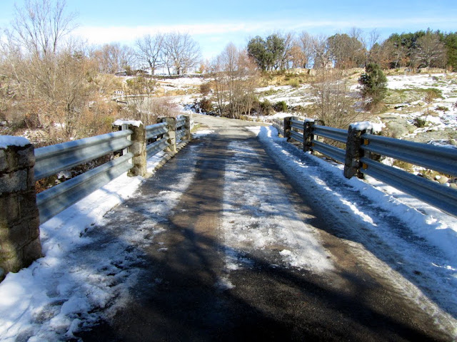 IMG_0272.jpg