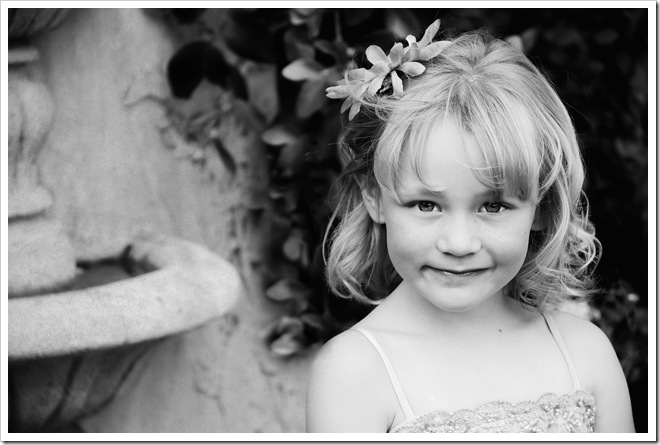 DSC_8950 copy