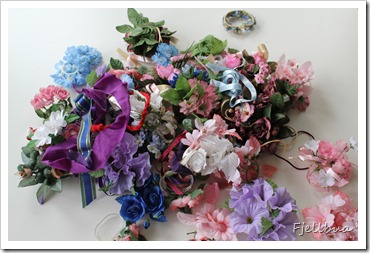 IMG_7040 IMG_7040