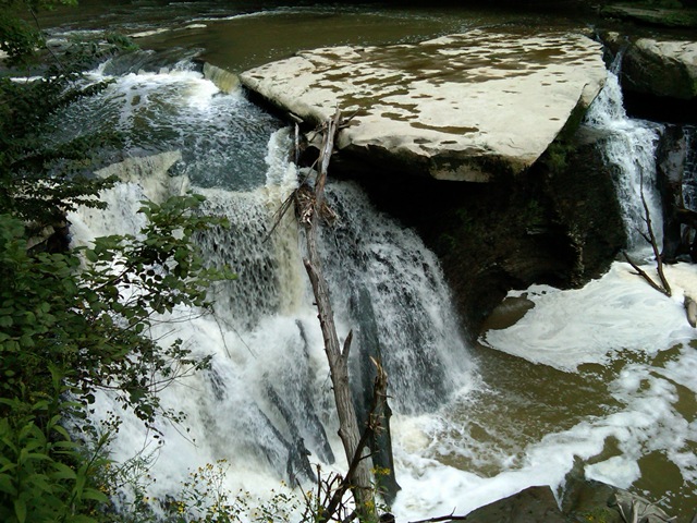 [IMG00099-20090822-1815[5].jpg]