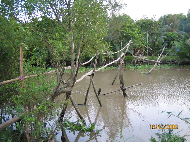 Xây Cầu Từ Thiện Cho Các Em Nhỏ ở Kiên Giang - 4