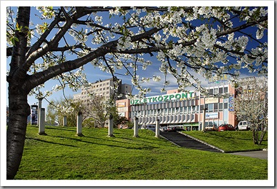 Virágzó ég - Óbuda, 2007 Virágzó ég - Óbuda, 2007