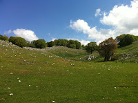 IMG_1171.JPG Photo
