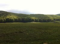 IMG_1185.JPG