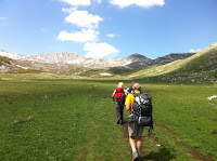 IMG_1275.JPG Photo