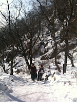 IMG_0406.JPG Photo