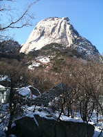 IMG_0413.JPG Photo
