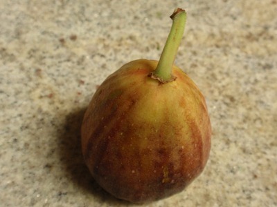 fig