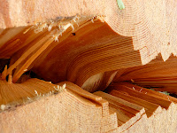 Growing up our wood stove was our main source of heat in the winter; we didn't have electric heating or cooling. Most families that have been in rural Oregon for a while have some personal connection to the timber industry, and my family is no exception. My grandfather on my mom's side (Dick Mudrow) came back from WWII to start a small family timber company with his brother and dad near Newport, Oregon. In 2010 I took this picture of a much sought after piece of Tamarack. The wood is dense and releases a lot of heat when you burn it, but the large branches are near the top of the tree so most of the trunk's grain is very straight and the wood is very easy to split.