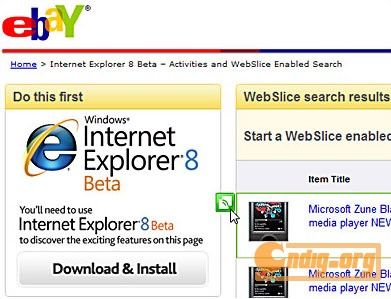 IE 8.1