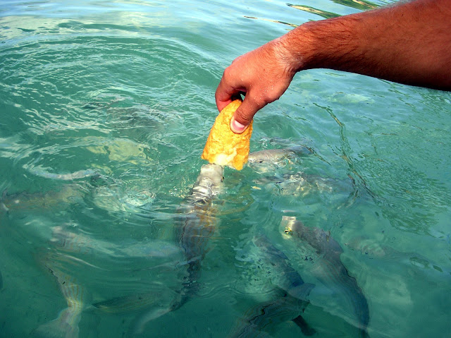 Ибица 2010. Наши путевые заметки в фото 