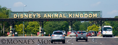 [Animal Kingdom sign[5].jpg]