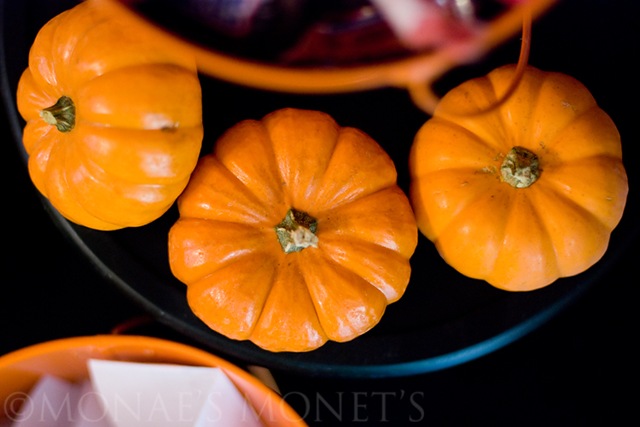 [pumpkins blog[5].jpg]